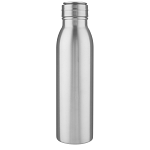 Harper 700 ml stainless steel water bottle with metal loop 4