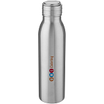 Harper 700 ml stainless steel water bottle with metal loop 2