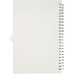 Dairy Dream A5 size reference recycled milk cartons spiral notebook 4