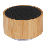 Bluetooth speaker 1