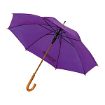 Automatic umbrella 1