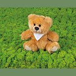 Teddy bear (medium) 4