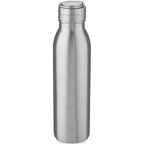 Harper 700 ml stainless steel sport bottle with metal loop 1