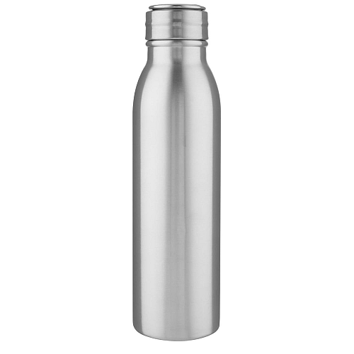 Harper 700 ml stainless steel water bottle with metal loop 4