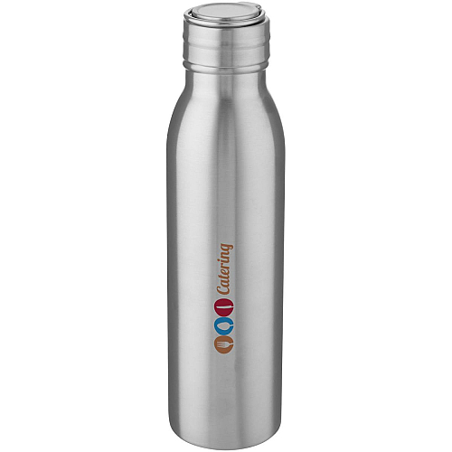 Harper 700 ml stainless steel water bottle with metal loop 2