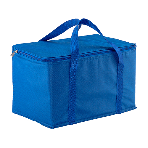 Cooler bag with silver interior 1