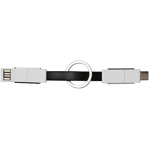 One 4-in-1 cable 3