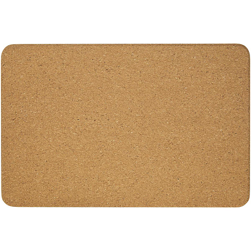 Trikona cork yoga brick 3