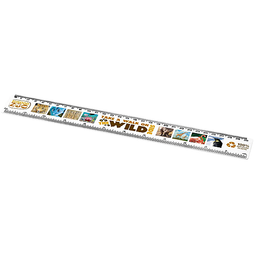 Refari 30 cm recycled plastic ruler 2