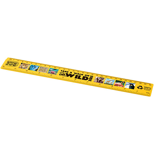 Refari 30 cm recycled plastic ruler 2