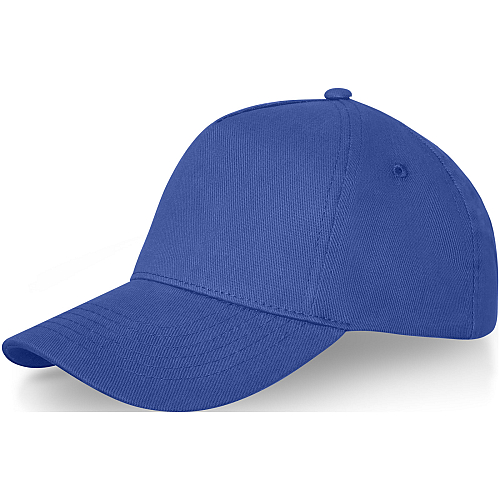 Doyle 5 panel cap 1